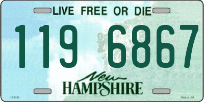 NH license plate 1196867
