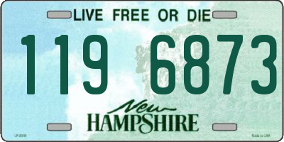 NH license plate 1196873