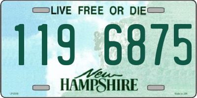 NH license plate 1196875