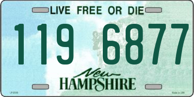 NH license plate 1196877