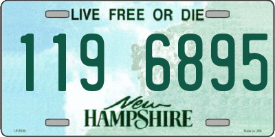 NH license plate 1196895