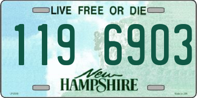 NH license plate 1196903