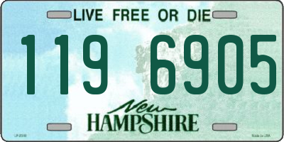 NH license plate 1196905