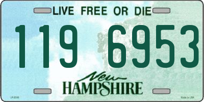 NH license plate 1196953