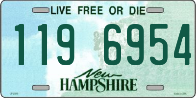 NH license plate 1196954