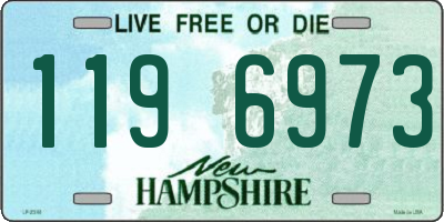 NH license plate 1196973