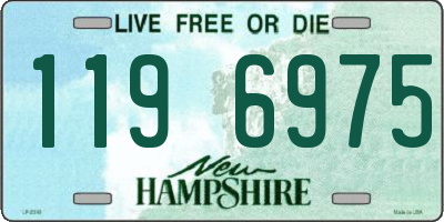 NH license plate 1196975