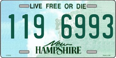 NH license plate 1196993