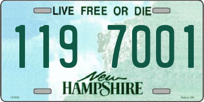 NH license plate 1197001