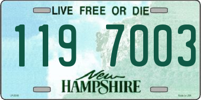 NH license plate 1197003