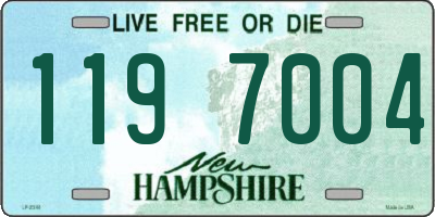 NH license plate 1197004