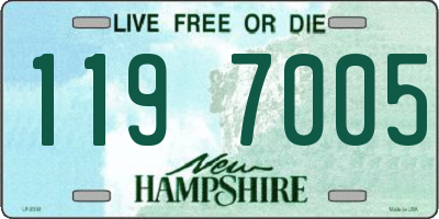 NH license plate 1197005