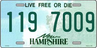 NH license plate 1197009