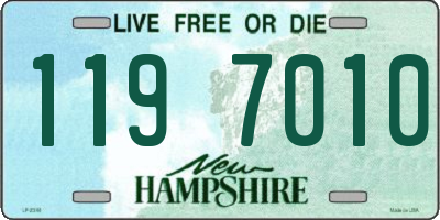 NH license plate 1197010