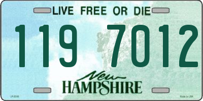 NH license plate 1197012