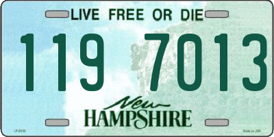 NH license plate 1197013