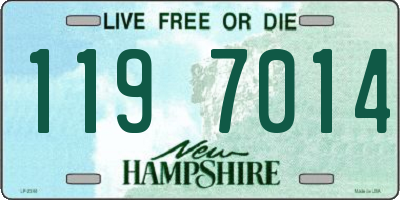 NH license plate 1197014