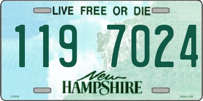 NH license plate 1197024