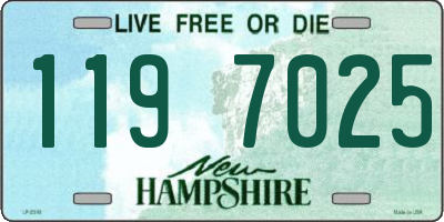 NH license plate 1197025