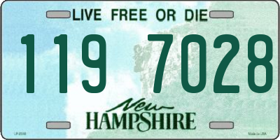 NH license plate 1197028