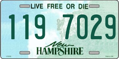 NH license plate 1197029