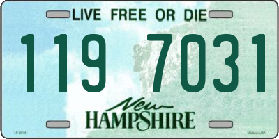 NH license plate 1197031