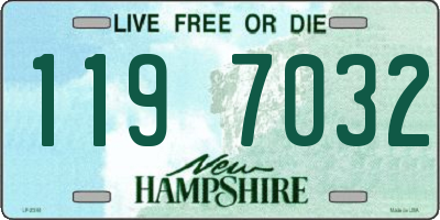 NH license plate 1197032