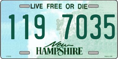 NH license plate 1197035