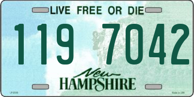 NH license plate 1197042