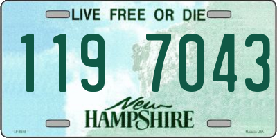 NH license plate 1197043