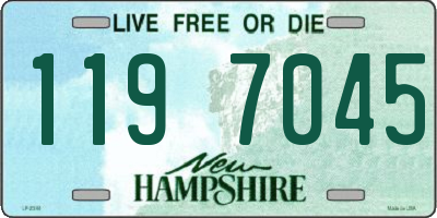 NH license plate 1197045