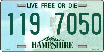 NH license plate 1197050