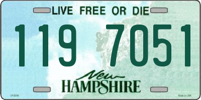 NH license plate 1197051