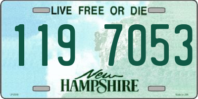 NH license plate 1197053