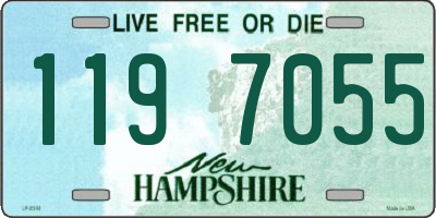 NH license plate 1197055