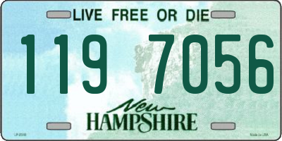 NH license plate 1197056