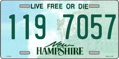 NH license plate 1197057