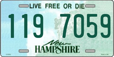 NH license plate 1197059