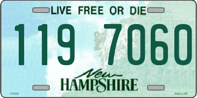 NH license plate 1197060