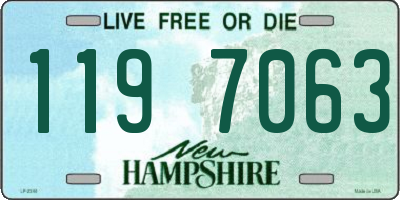 NH license plate 1197063