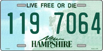 NH license plate 1197064