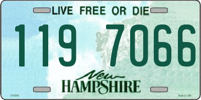 NH license plate 1197066