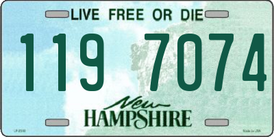NH license plate 1197074