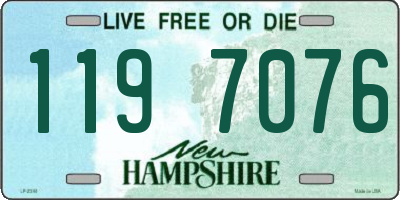 NH license plate 1197076
