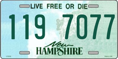 NH license plate 1197077
