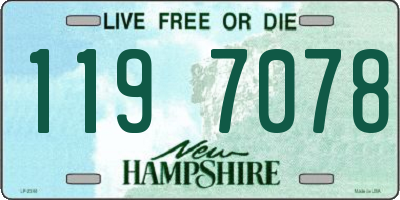 NH license plate 1197078
