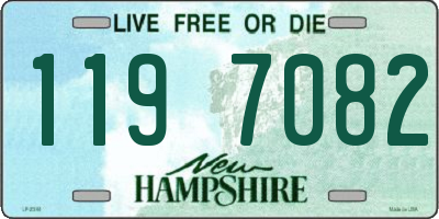 NH license plate 1197082