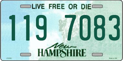 NH license plate 1197083