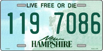 NH license plate 1197086