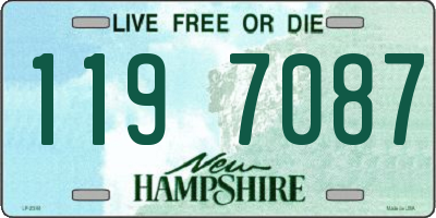 NH license plate 1197087
